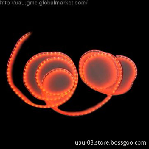 Red waterproof 3528 strip light
